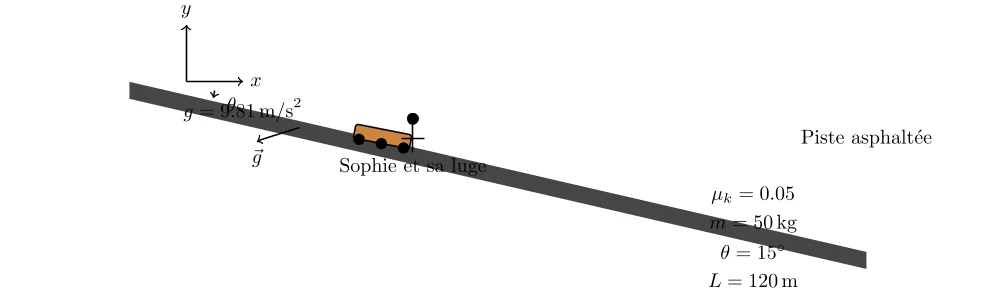 Analyse de l’Inertie sur une Piste