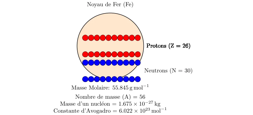 Calcul du Noyau du Fer