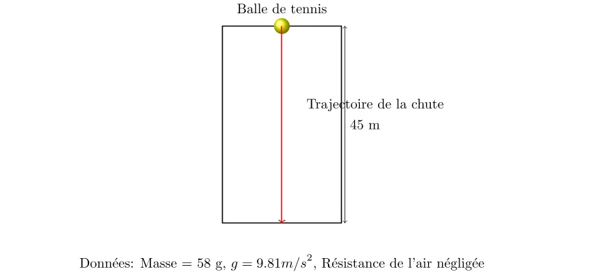 Chute Libre d'une Balle de Tennis