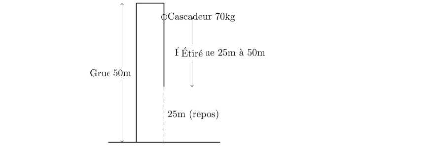 Analyse Physique d'un Saut à l'Élastique